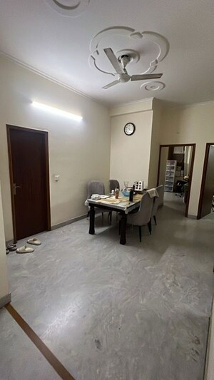 Living Room in 3 BHK Builder Floor at Sector 40 – for Rent