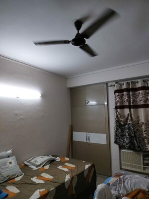 Living Room in 2 BHK Apartment at Amrapali Dream Valley, Tech Zone 4 Greater Noida – for Rent