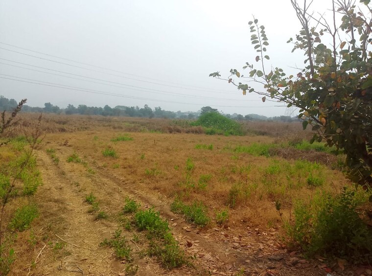 undefined, pen  1089 Sq.Ft. Plot In Pen Navi Mumbai 10350513