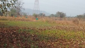 Plot Area in  Plot at Pen – for Sale