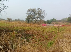 Plot Area in  Plot at Pen – for Sale
