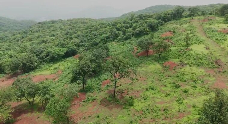 Garden, pali Commercial Land 21000 Sq.Mt. In Pali Raigad 10350625