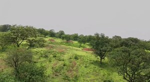 Plot Area in  Land at Pali – for Sale