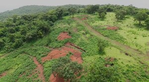  Land For Sale in Pali