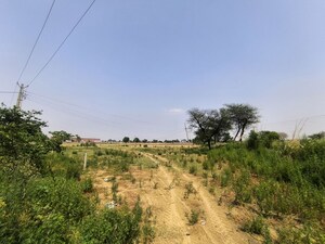 Plot Area in  Land at Pataudi – for Sale