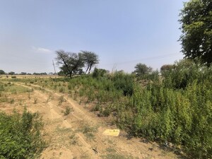 Plot Area in  Land at Pataudi – for Sale