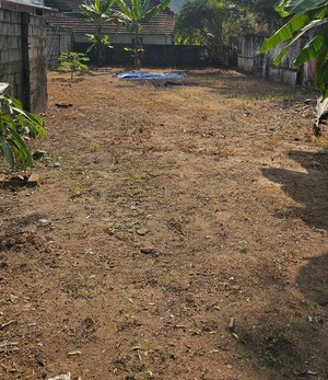 Plot For Sale in Palkulangara