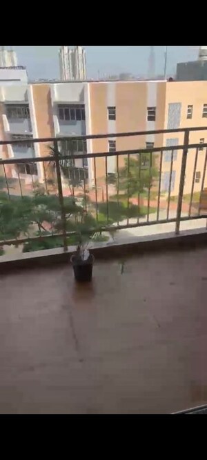 3 BHK Apartment For Rent in Shapoorji Pallonji Joyville Gurgaon, Sector 102