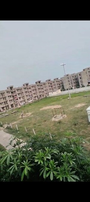 1 BHK Apartment For Rent in Mu 2 Greater Noida