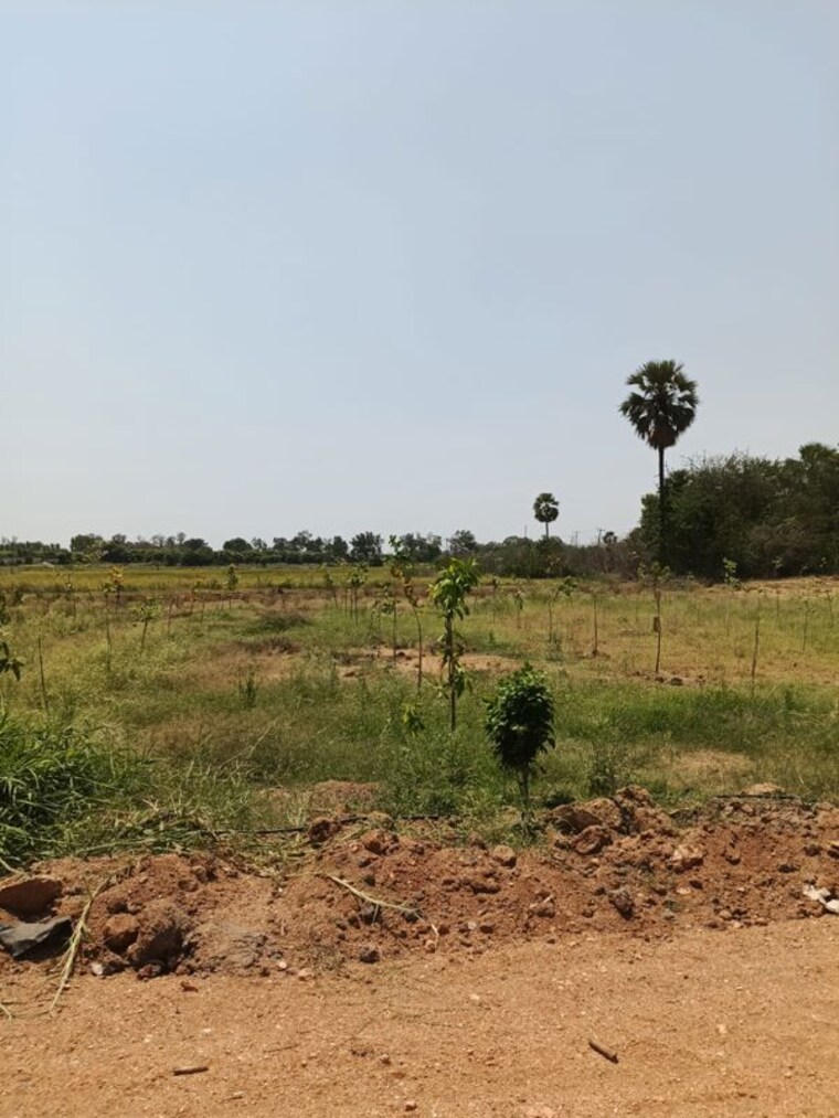undefined, raigiri  121 Sq.Yd. Plot In Raigiri Hyderabad 10346825