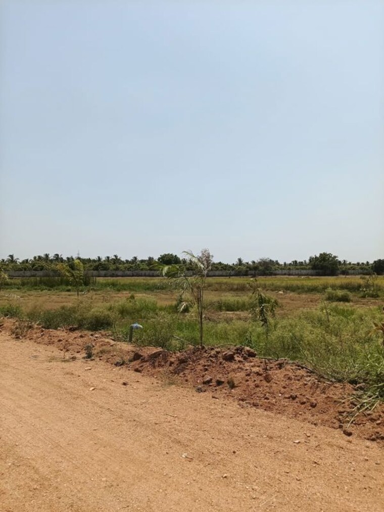 undefined, raigiri  121 Sq.Yd. Plot In Raigiri Hyderabad 10346825
