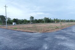 Plot For Sale in Bidadi