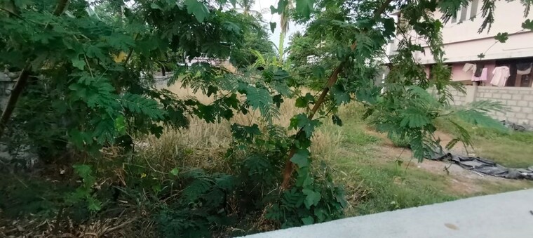 Garden, kuttanellur  4358 Sq.Ft. Plot In Kuttanellur Thrissur 10351413