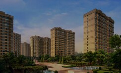 1 BHK Apartment For Sale in Central Park Resorts