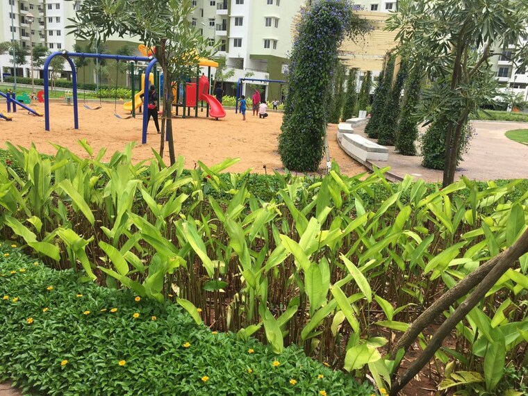 Garden, provident-sunworth 2 Bedroom 900 Sq.Ft. Apartment In Mysore Road Bangalore 10351993