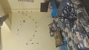 Bedroom in 1 BHK Apartment at Shree Ashirwad CHS Kopar, Kopar Khairane – for Rent
