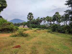  Land For Sale in Rambilli