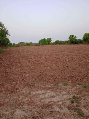  Plot For Sale in Phulwari Sharif