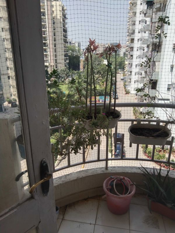 3 BHK 1400 Sq.Ft. Builder Floor in Maple Heights
