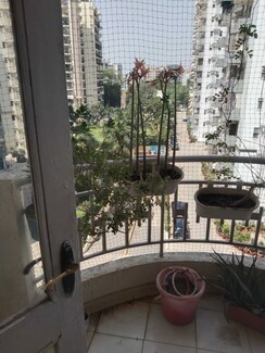 3 BHK Builder Floor For Rent in Maple Heights