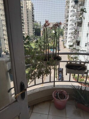 3 BHK Builder Floor For Rent in Maple Heights, Sector 43