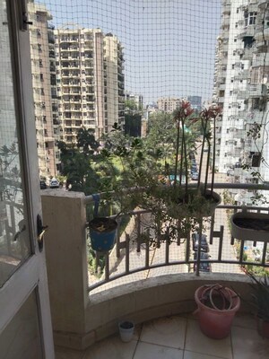 3 BHK Builder Floor – Exterior View View at Maple Heights, Sector 43 - for Rent