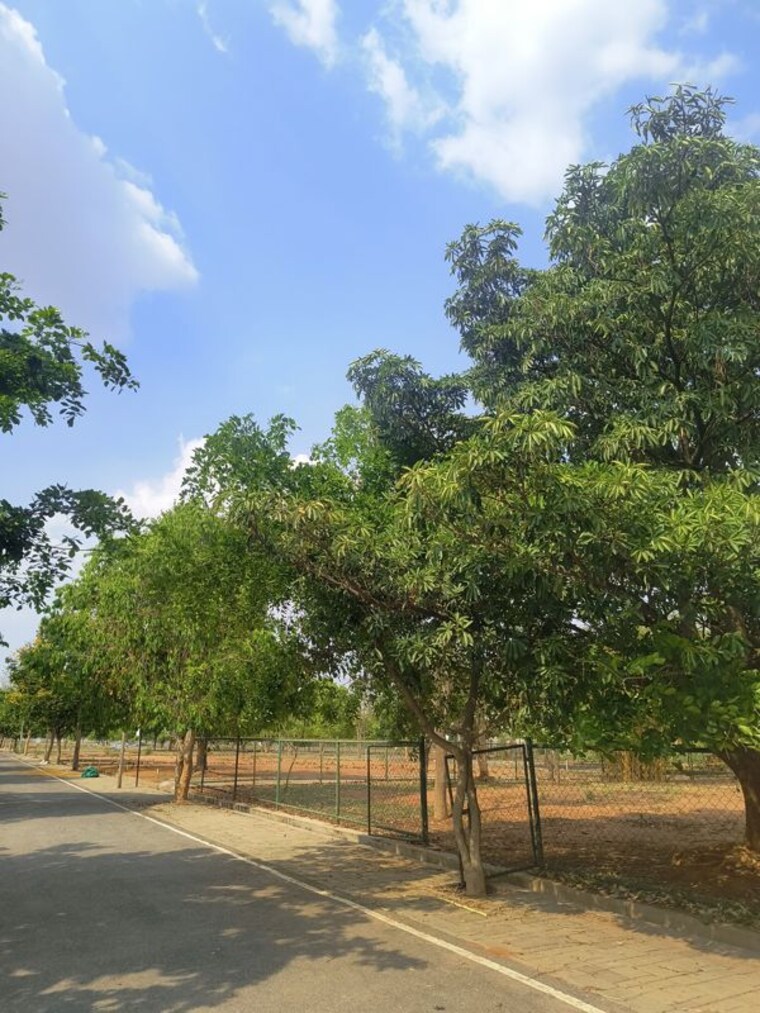 undefined, hoskote  1500 Sq.Ft. Plot In Hoskote Bangalore 8854642