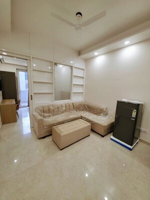 Living Room in 2 BHK Apartment at DLF Cyber Greens, Sector 24 – for Rent