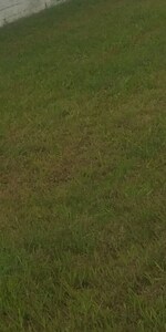 288 Sq.Yd. Plot in Urban Estate Dugri