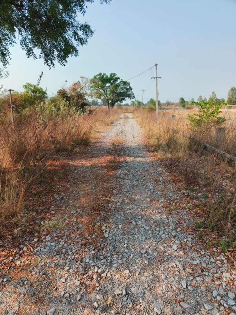 undefined, sri-raja-rajeshwara-enclave  222 Sq.Yd. Plot In Domakonda Kamareddy 10341944