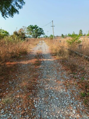 Plot Area in  Plot at Sri Raja Rajeshwara Enclave, Domakonda – for Sale
