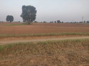  Land For Rent in Nande