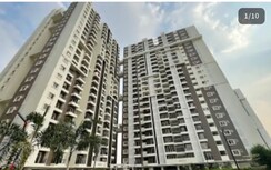 3 BHK Apartment For Sale in Candeur Signature