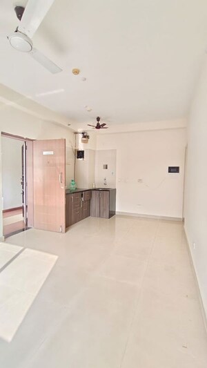 1 BHK Apartment For Rent in Paranjape Blue Ridge, Hinjewadi