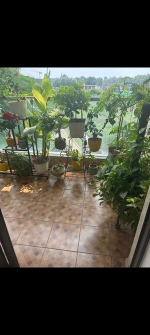3 BHK Builder Floor – Exterior View View at Adani Samsara Vilasa, Sector 63 - for Sale
