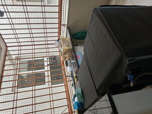 Utility Room in 2 BHK Apartment at Mana Uber Verdant, Sarjapur Road – for Sale