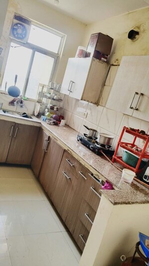 Kitchen in 3 BHK Builder Floor at Sector 27 – for Sale