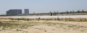 Plot Area in  Plot at Dankaur Inner Township, Dankaur – for Sale