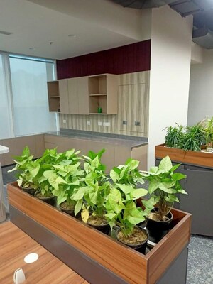 Living Room in  Office Space at Wakad – for Rent