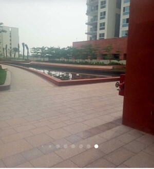 Swimming Pool in 3 BHK Apartment at Conscient Hines Elevate, Sector 59 – for Sale