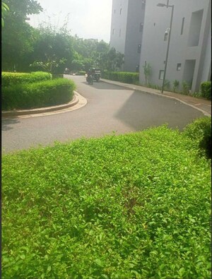 3 BHK Apartment – Garden View at Ireo Skyon, Sector 60 - for Sale