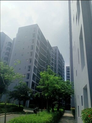 3 BHK Apartment – Exterior View View at Ireo Skyon, Sector 60 - for Sale