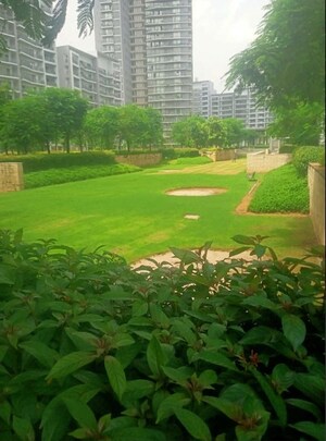3 BHK Apartment – Garden View at Ireo Skyon, Sector 60 - for Sale