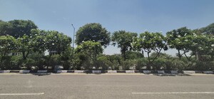 Plot Area in  Plot at Mullanpur – for Sale
