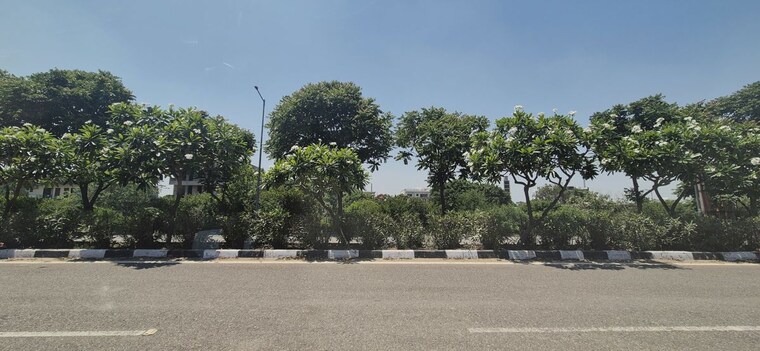 undefined, mullanpur  200 Sq.Yd. Plot In Mullanpur Mohali 10355080