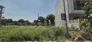 Plot Area in  Plot at Mullanpur – for Sale