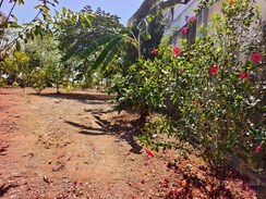 Plot For Sale in Pattom