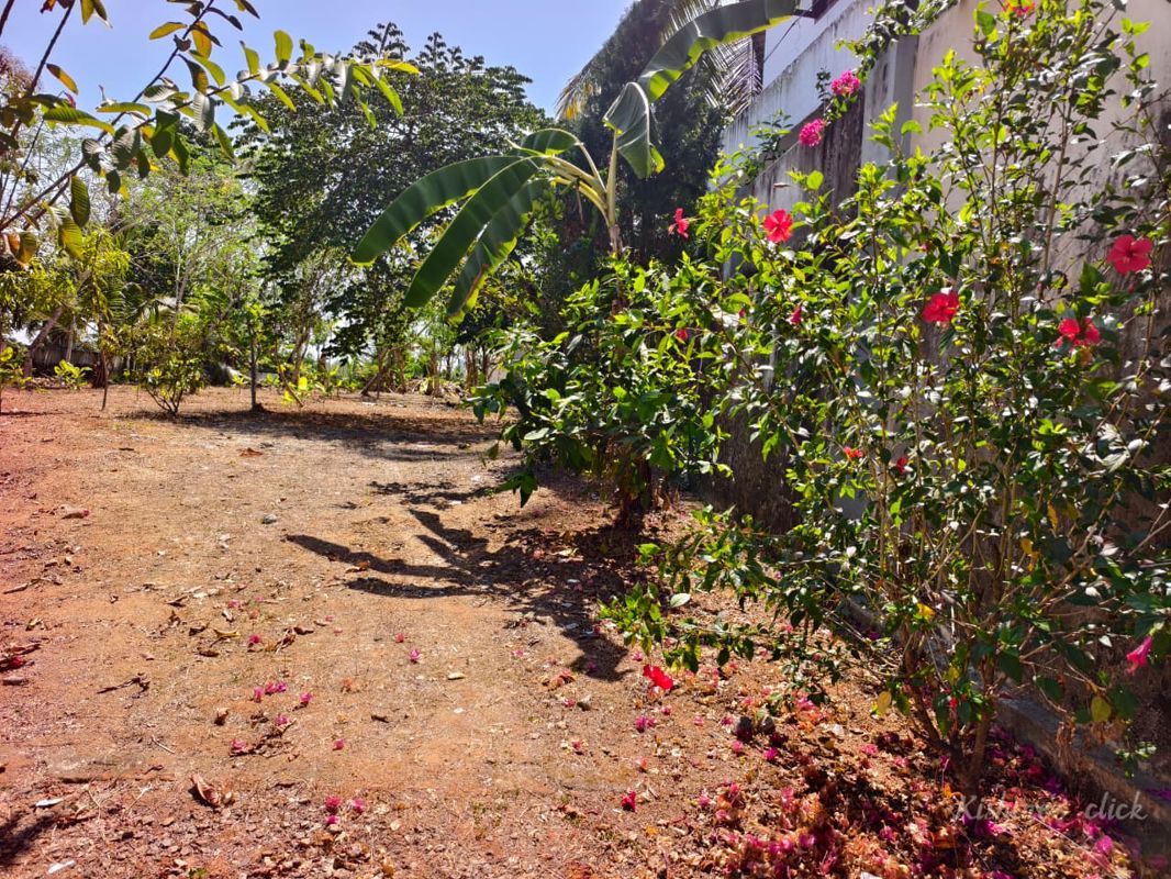 Plot For Sale in Pattom