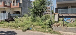  Plot For Sale in Mullanpur