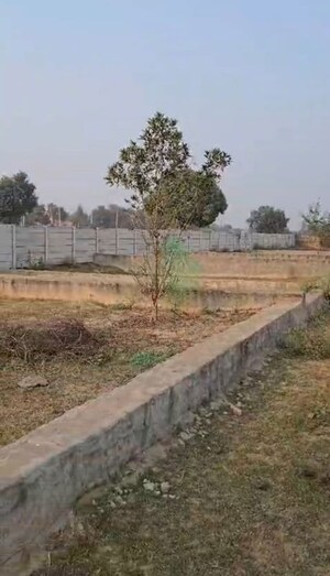 Plot Area in  Plot at Saini – for Sale